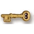 Skeleton Key Stock Design Plastic Lapel Pin